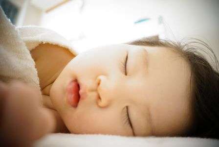 これなら撮れたぞ