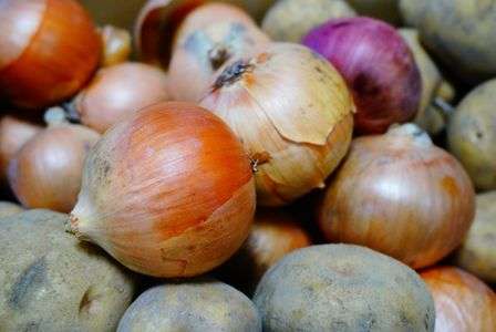 作るぞ、晩ご飯！