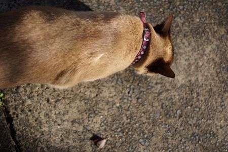 雨上がりの朝に