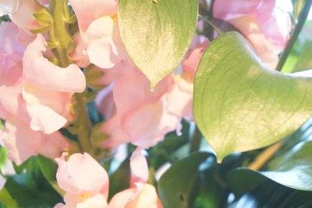 待ちきれない春