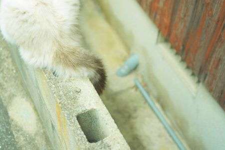 ふわふわしっぽ。