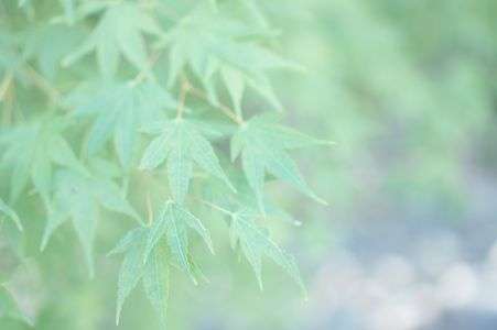 頬を染める前に。