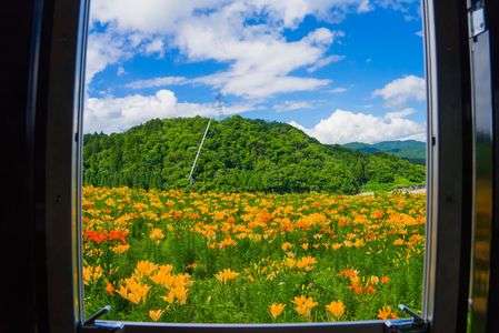 flowertrainの窓額