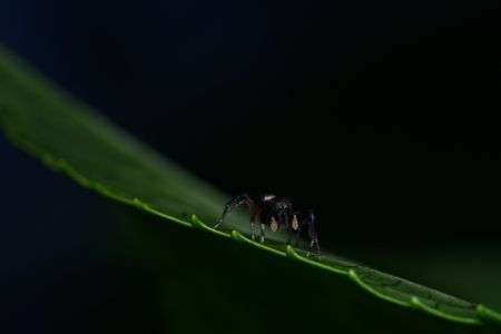昼の闇にひそむ