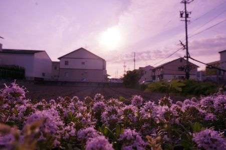 さよなら、また明日