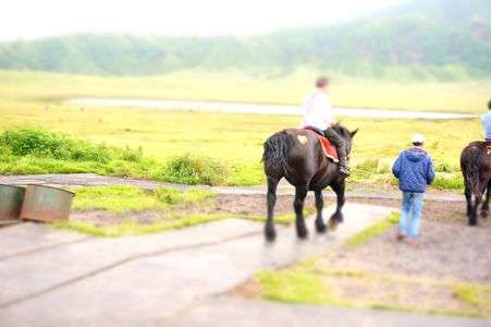 ハートのタトゥー💛