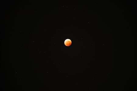 ドラゴンボール