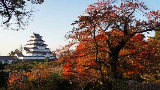 赤瓦と紅葉と。