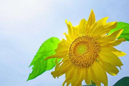 夏だぁ～～～！