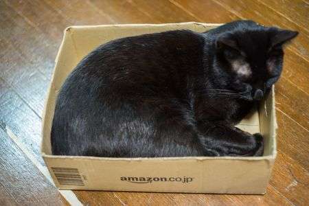 梱包の状態はいかがでしたか？