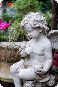 小鳥とエンジェル