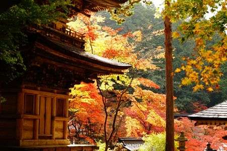 横蔵寺の秋
