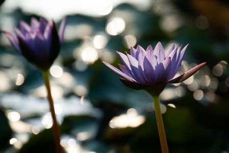 α900、ファインダー越しの私の世界