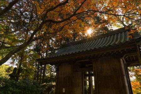 佐賀県、大興善寺
