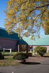 211030牧場の秋２