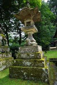 この亀のお小遣いくらだろ？