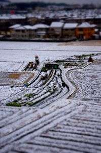 久しぶりの積雪