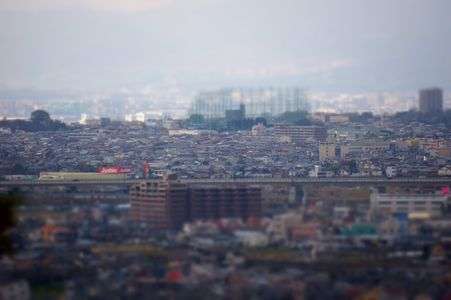 交野市立いわふね自然の森