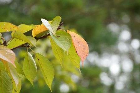 松本市四賀地区の輝き
