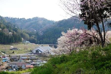 小川村のプールビックランドおがわ