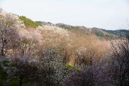 自然　きれいだなぁ