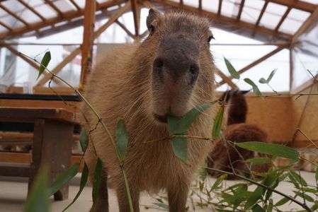 カメラ目線で・・・