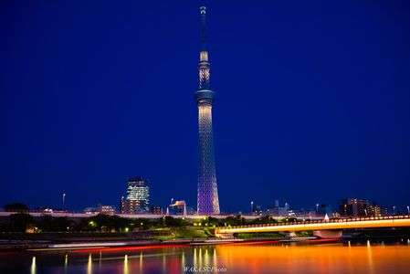 桜橋とスカイツリー