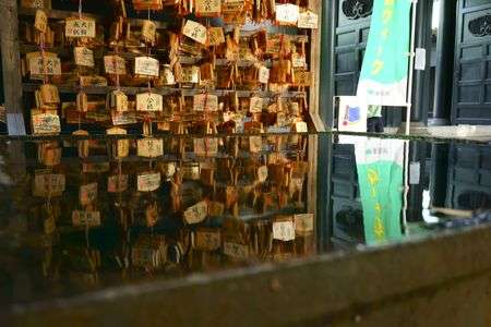 水面に映る願いたち