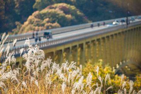 晩秋の八ヶ岳高原大橋