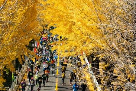 いちょうの下を走る