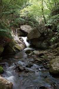 涼みをもとめて