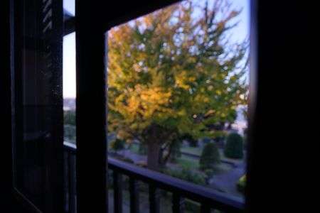 窓の外の紅葉