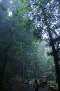 津和野ドライブ