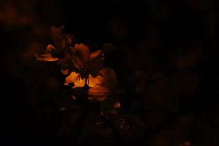 暗闇でもなお。