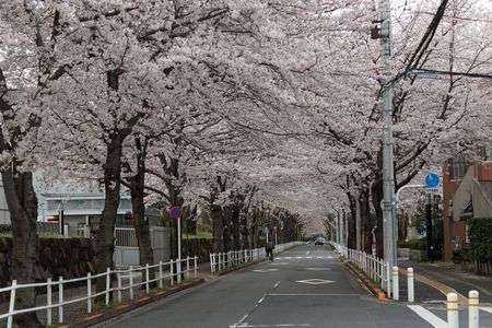 第七交通機動隊