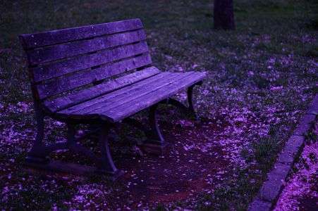 ツワモノドモノユメノアト。