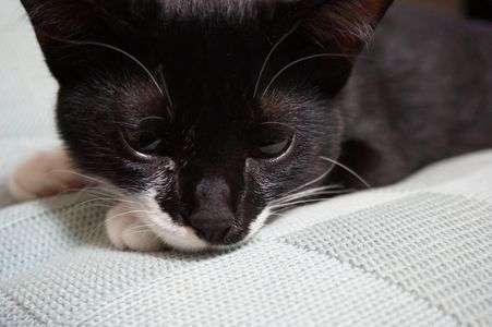 眠たいけどあそびたい