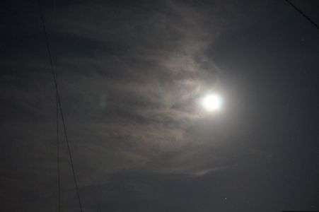 月が綺麗だったので・・・