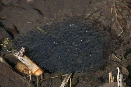 暦の上だけではなく・・・