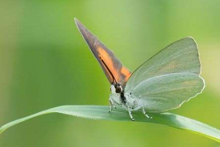 俺たちの季節！！