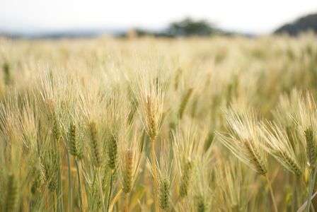 だーれかさんとだーれかさんが♪