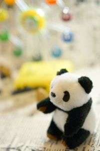 パンダさん、遊園地へ行く　2