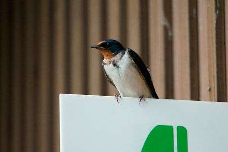 ただいま休憩中