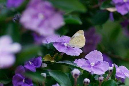 ただいま給水中