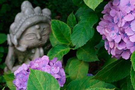 南無釈迦牟尼仏