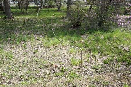 根性です。上を目指します！