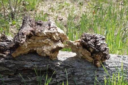 何か会話をしているのかな〜？？？