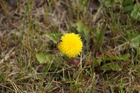 ゆっくりランチしてください？