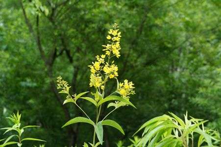 ひっそりと主張させてください（爽やかに）