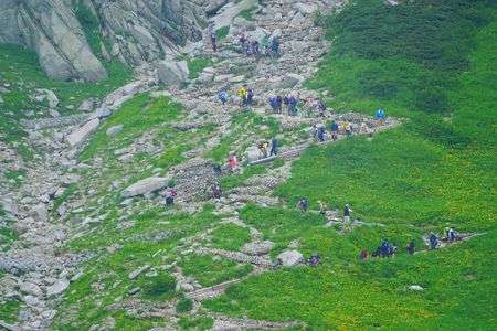 宝剣岳登山道とミヤマキンバイの群落